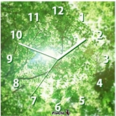 Flash时钟-绿色森林旋转的立方体