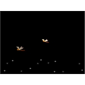 Flash透明-星光和蜻蜓