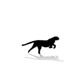 猎豹奔跑flash动画特效